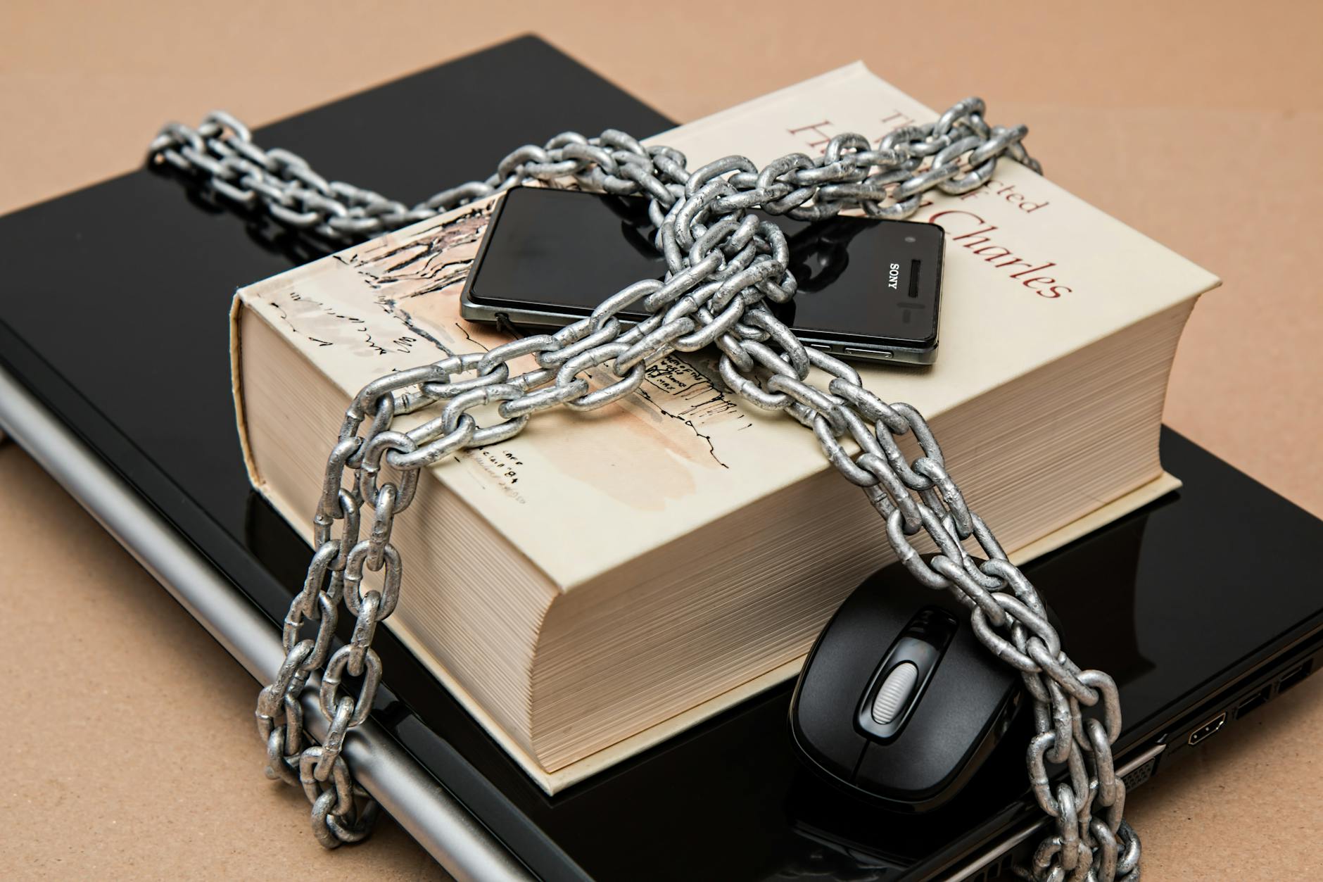 Sécurité des données et protection en ligne